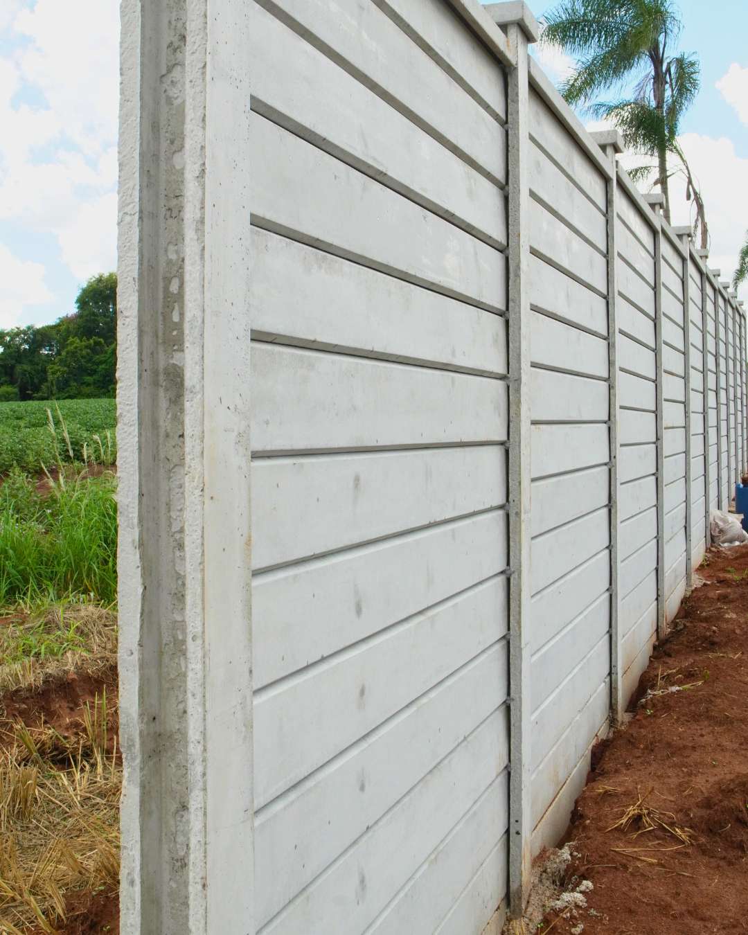 Obras - Março 2026 Campo de Gladíolos Holambra (10)
