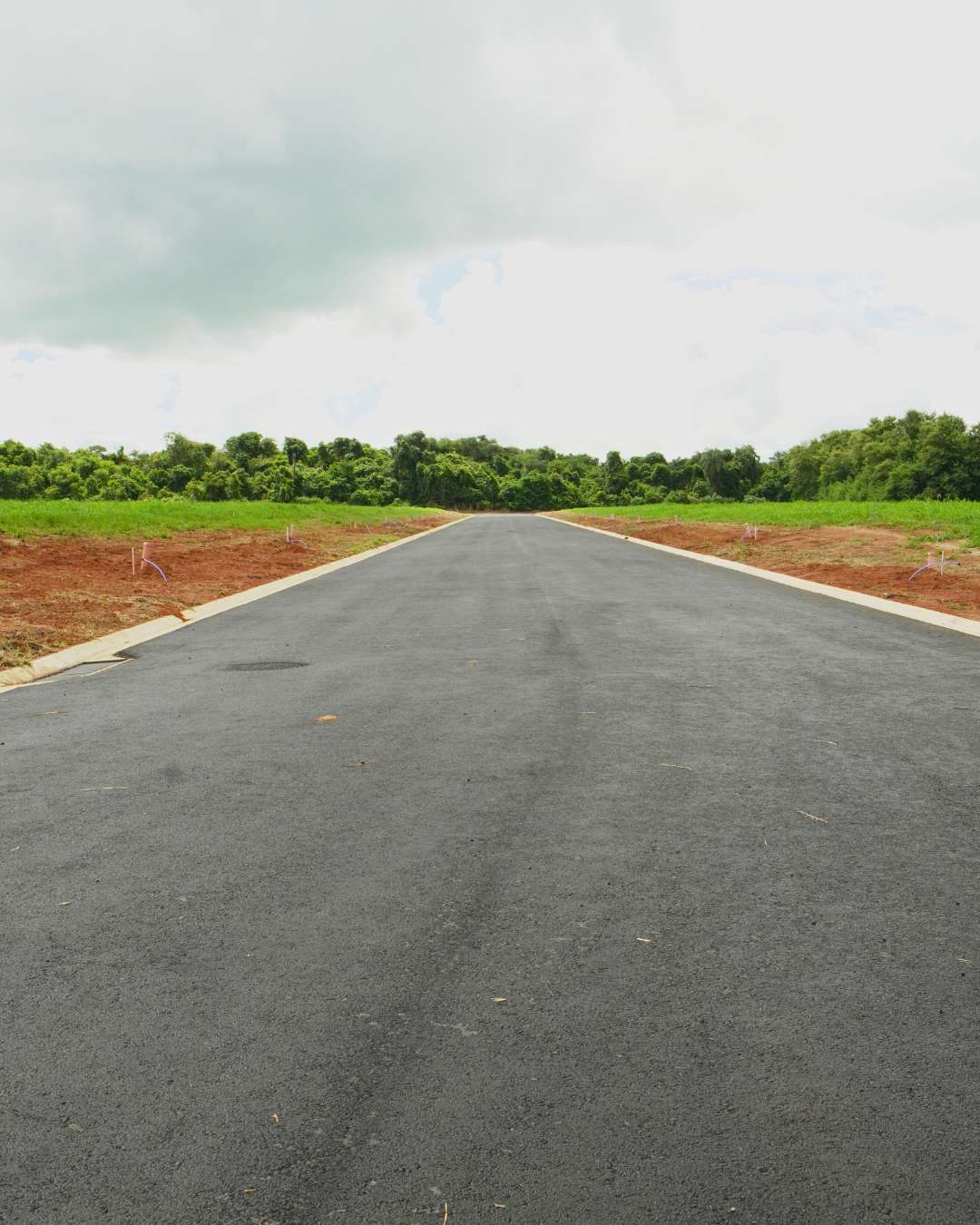 Obras - Março 2026 Campo de Gladíolos Holambra (11)