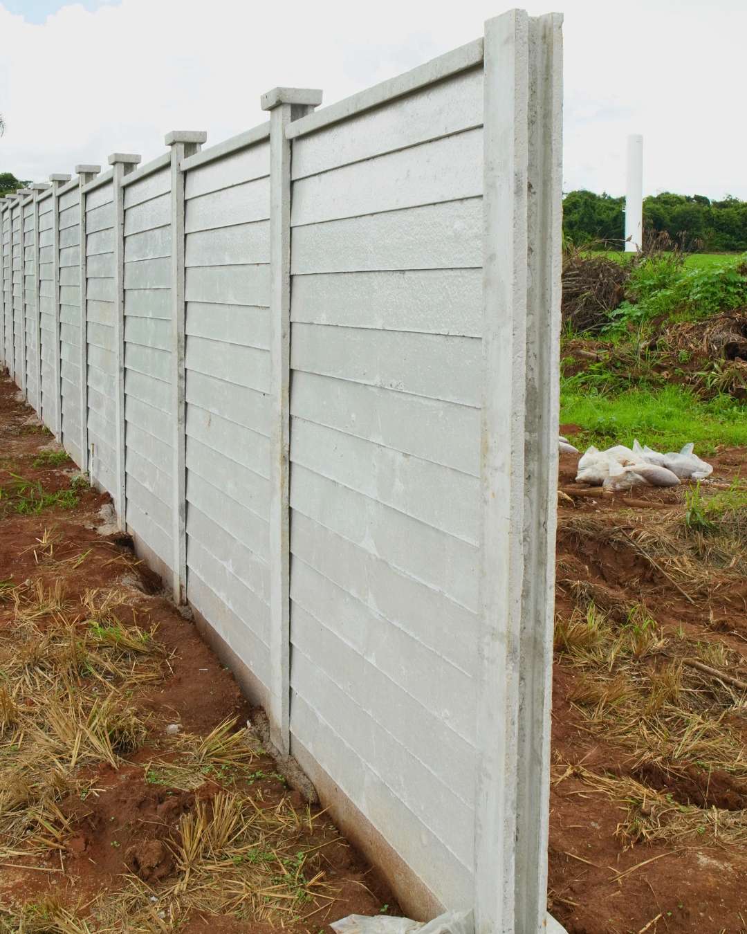 Obras - Março 2026 Campo de Gladíolos Holambra (12)