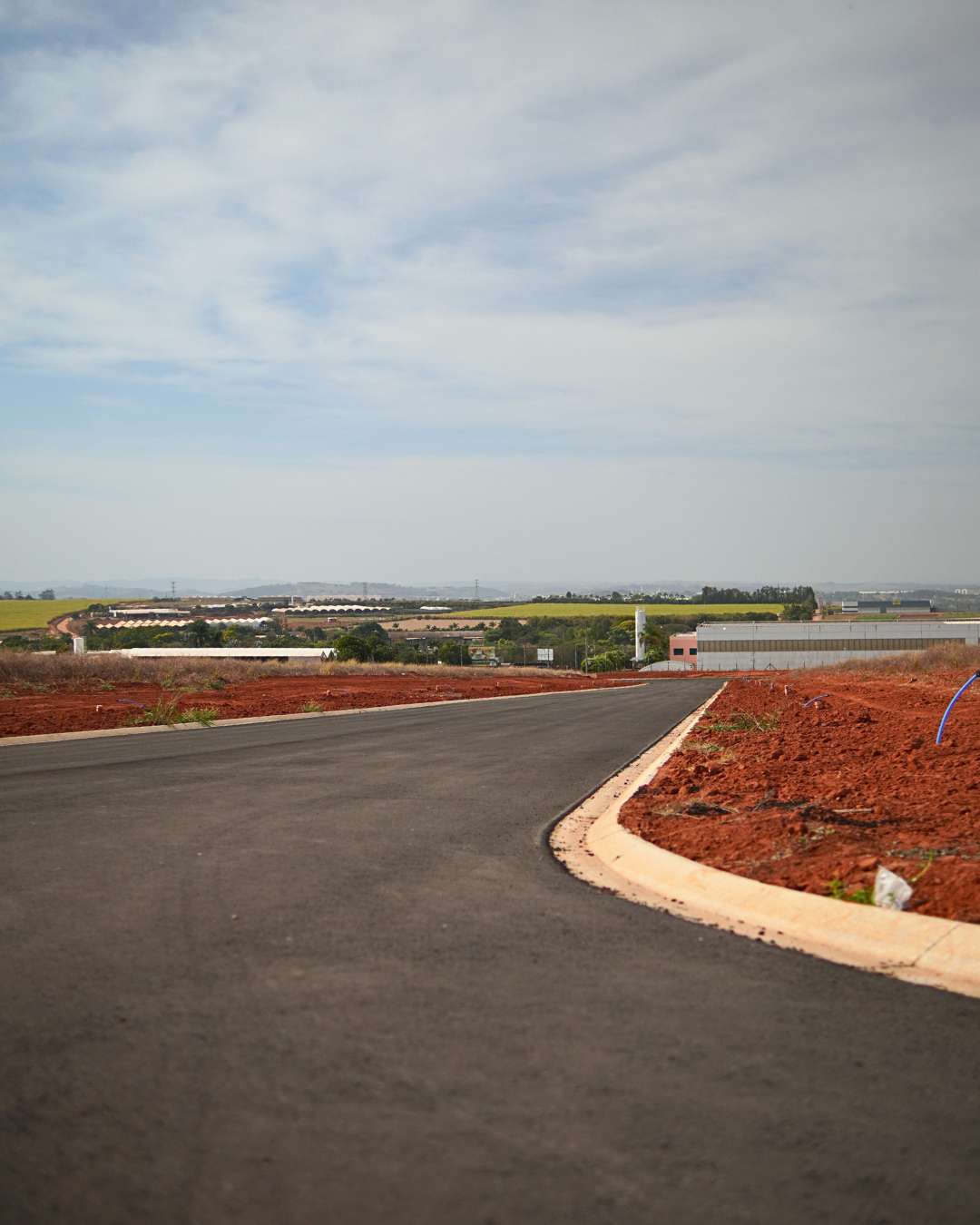 Obras - Março 2026 Campo de Gladíolos Holambra (13)
