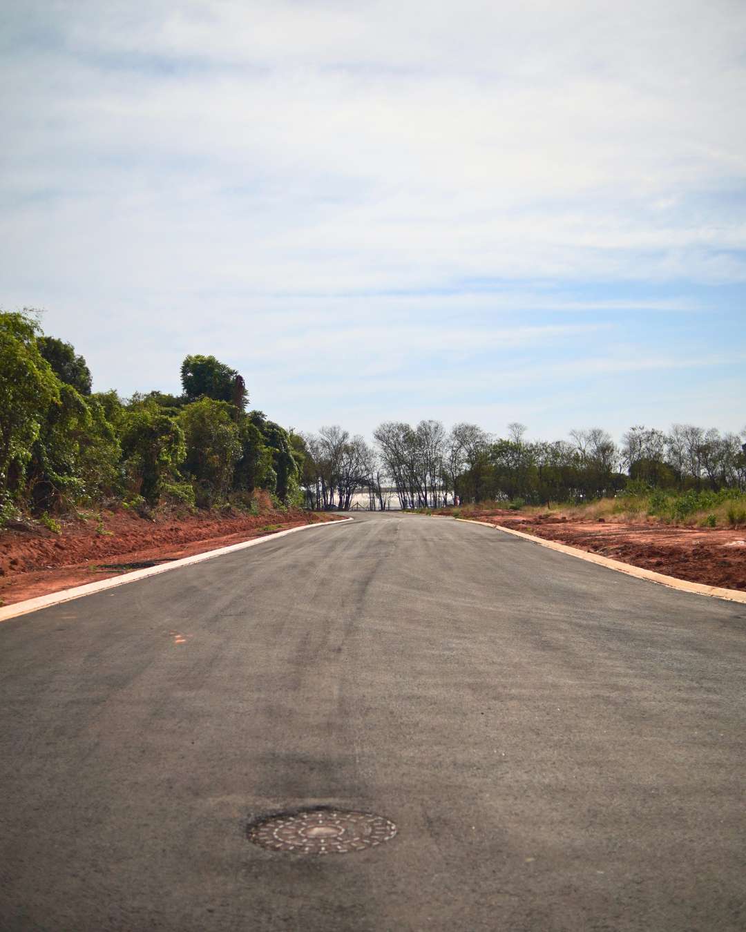 Obras - Março 2026 Campo de Gladíolos Holambra (14)