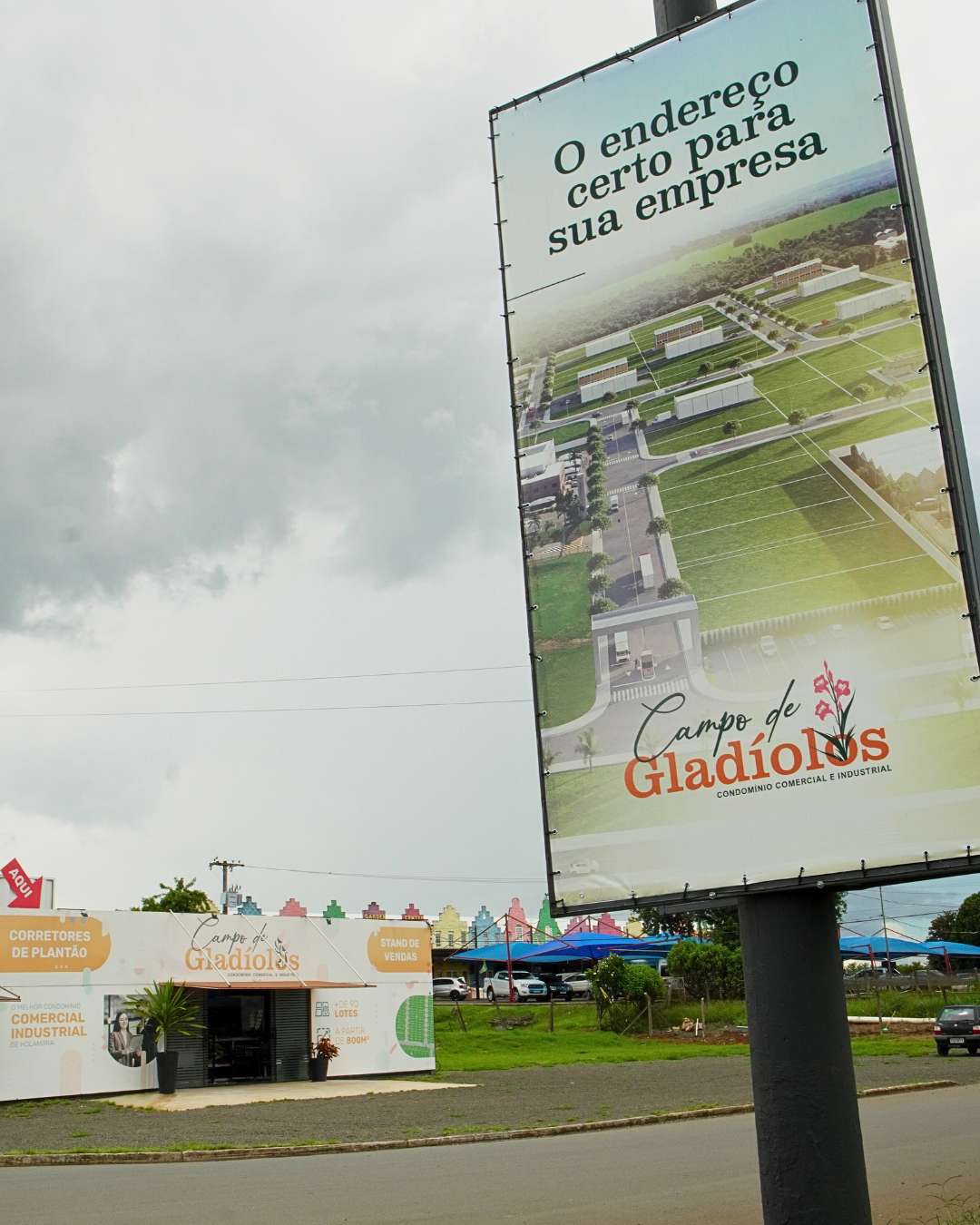 Obras - Março 2026 Campo de Gladíolos Holambra (15)