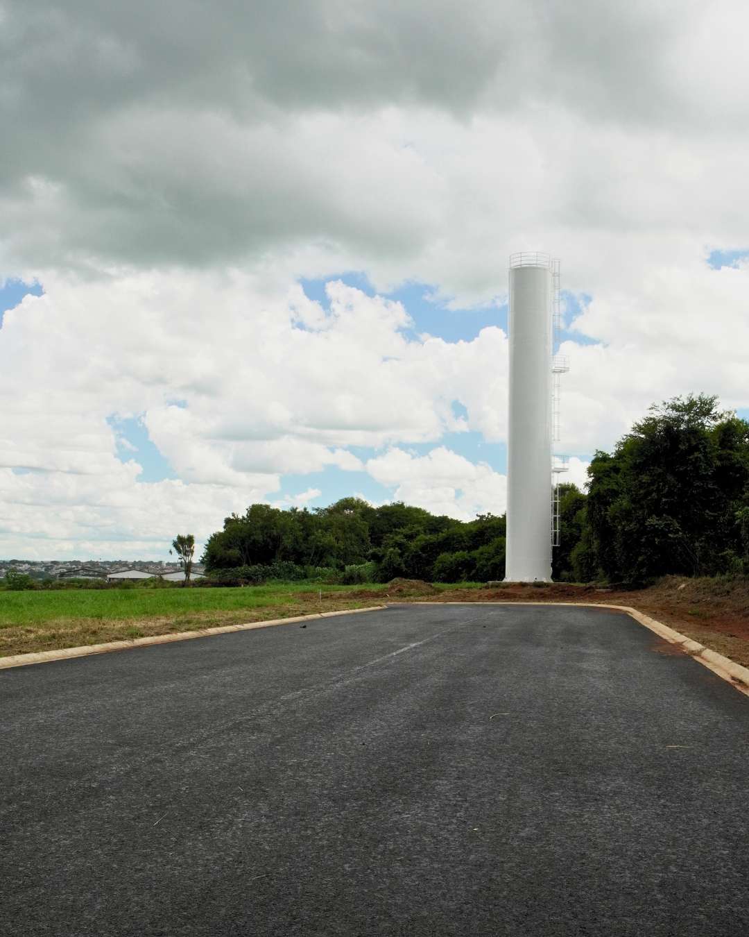 Obras - Março 2026 Campo de Gladíolos Holambra (4)