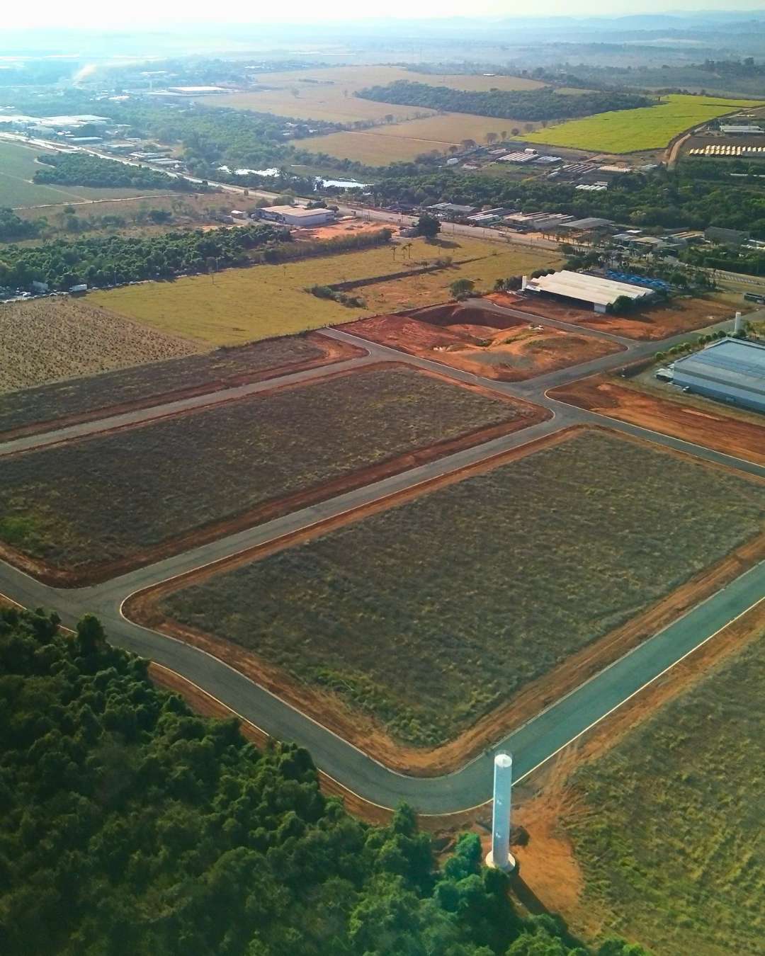 Obras - Março 2026 Campo de Gladíolos Holambra (5)