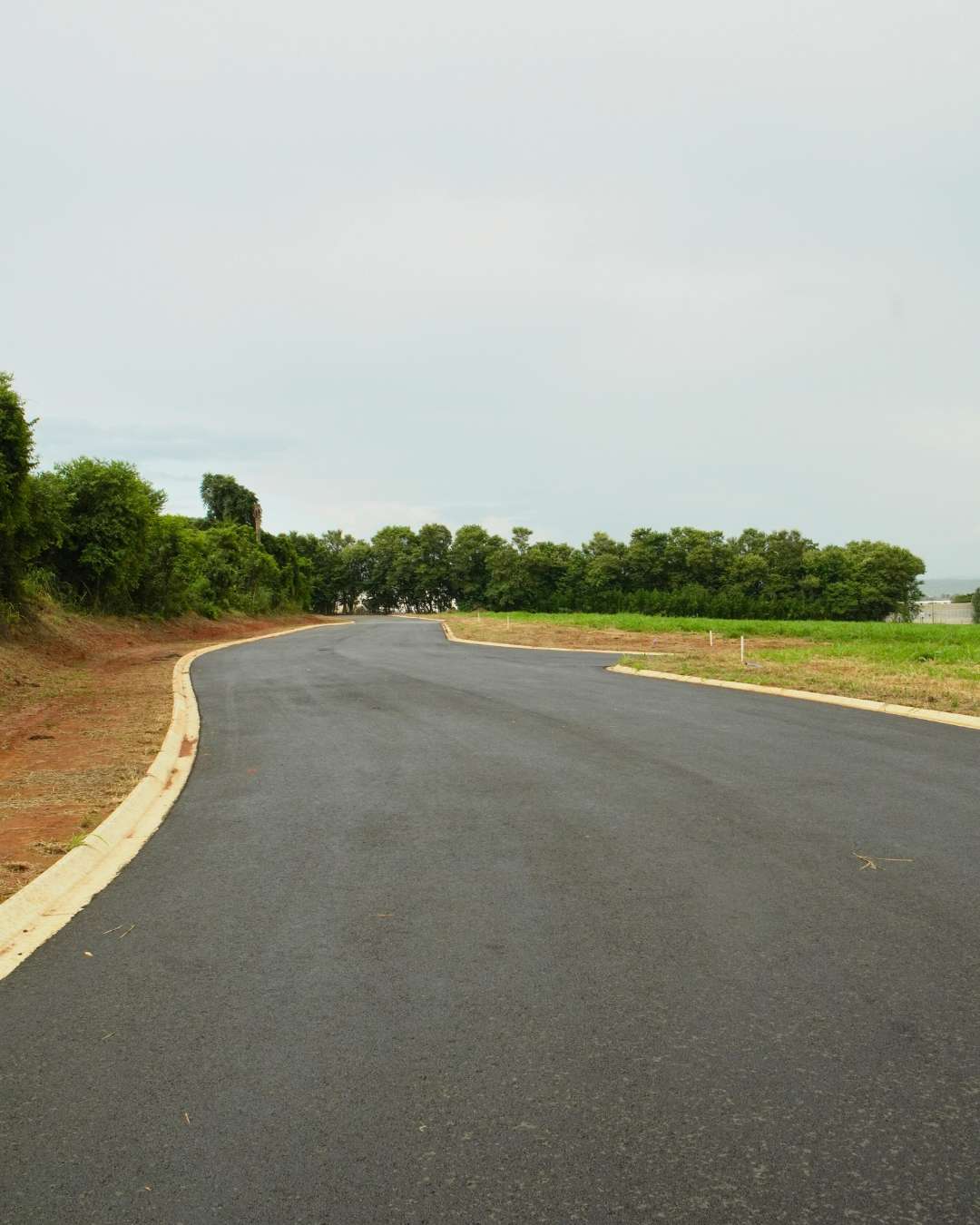 Obras - Março 2026 Campo de Gladíolos Holambra (7)
