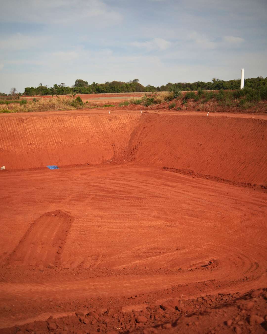 Obras - Março 2026 Campo de Gladíolos Holambra (9)